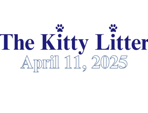 Kitty Litter 4.11.25
