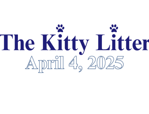 Kitty Litter 4.4.25